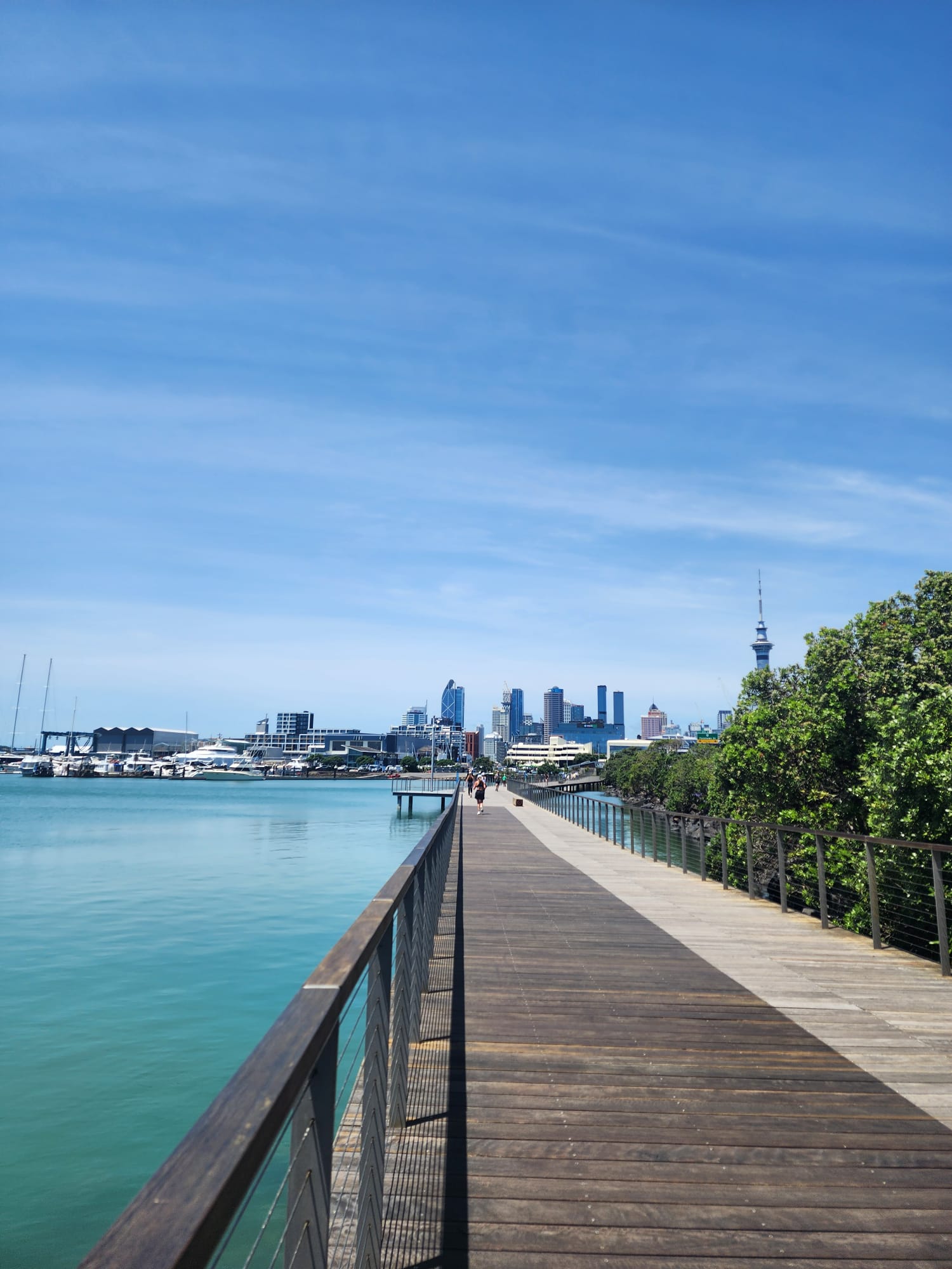 Auckland waterfront and skyline